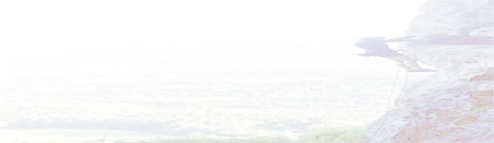 Exploring Ascension Main Page
