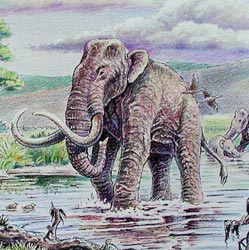 See below for the site from which this drawing was taken