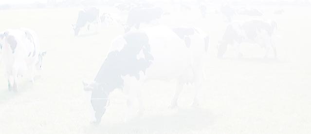 Main Page of this Section